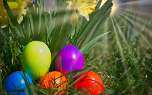 1448461 (a): :2560x1600